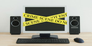 computer crime 2