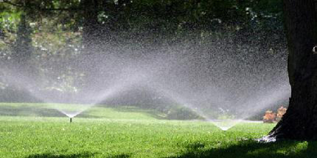 lawn watering