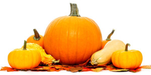 pumpkins fall thanksgiving