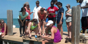 Students from Dr. Tom Manning's class examine marine life in the Florida Keys after deploying a cellulose-based artificial reef.