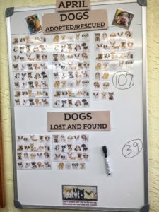 1163 (1)