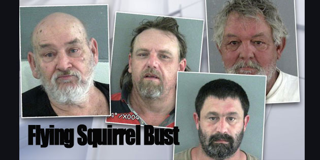 Seven Charged in Flying Squirrel Trafficking Ring, Florida