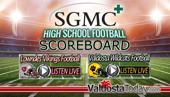 Valdosta Wildcats High School football License plate 