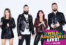 Skillet concert