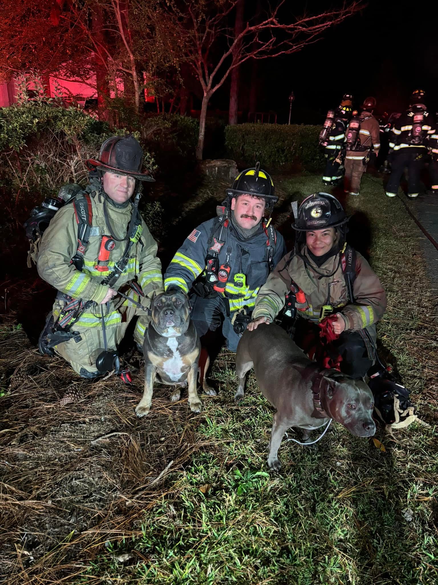 VFD rescues two dogs in early morning house fire