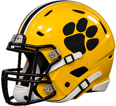 Valdosta Wildcats
